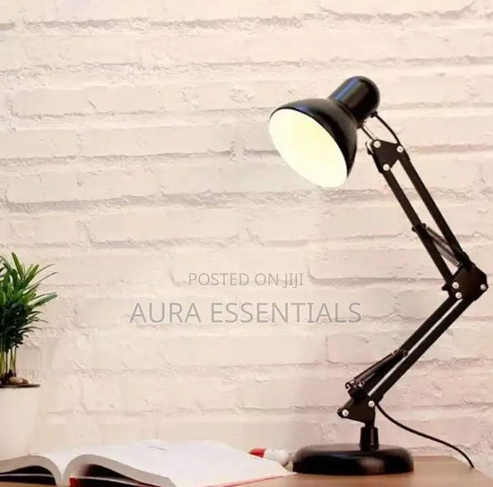 Long Standing Lamp