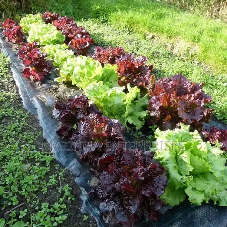 Pp Wooven Weed Barrier Landscape Fabric 2x100mtrs