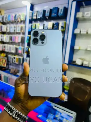 Apple iPhone 13 Pro Max 256 GB Silver