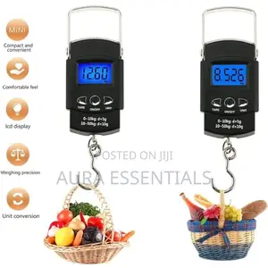 Portable Travel Scale