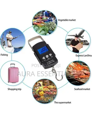 Portable Travel Scale