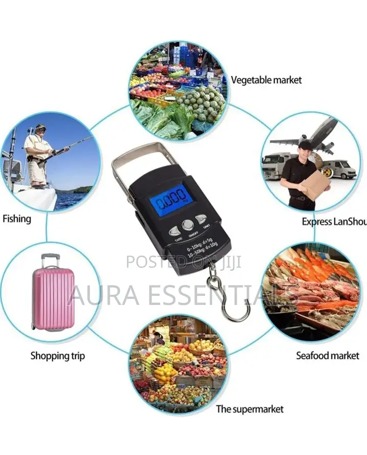 Portable Travel Scale