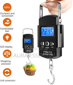 Portable Travel Scale
