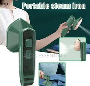 Professional Micro Steam Iron