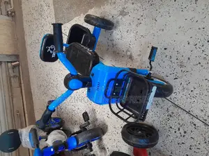 Kids Musical Tricycle