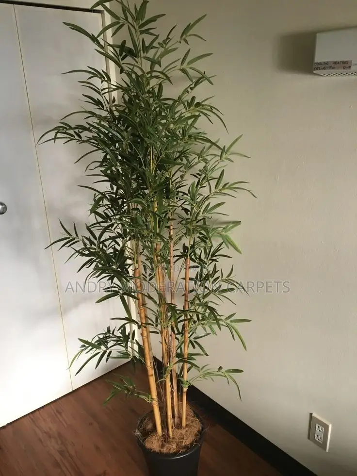 Artificial Plants and Flowers