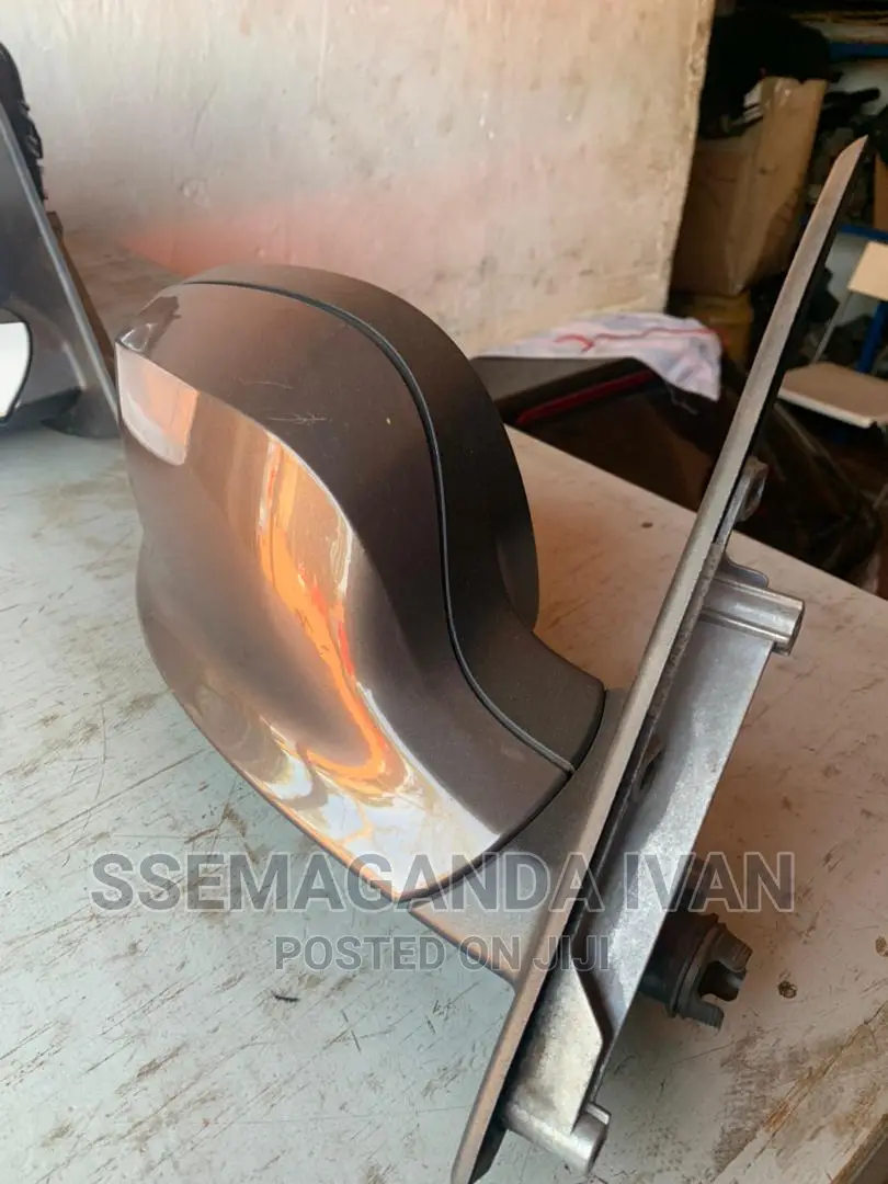 BMW X3 Side Mirror 2012
