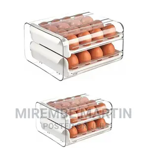 Portable Double Egg Storage Box