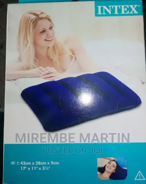 Intex Portable Air Pillow