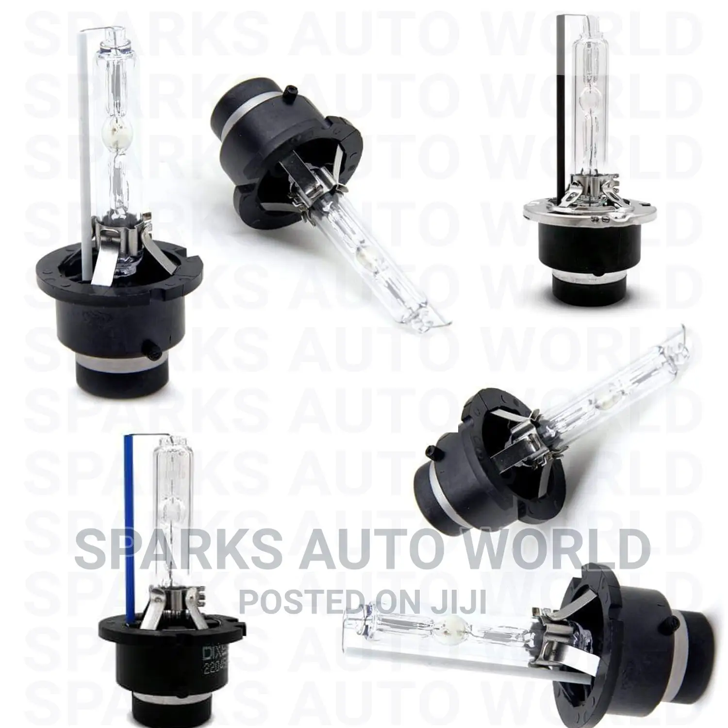 D4 Bulbs (Original)