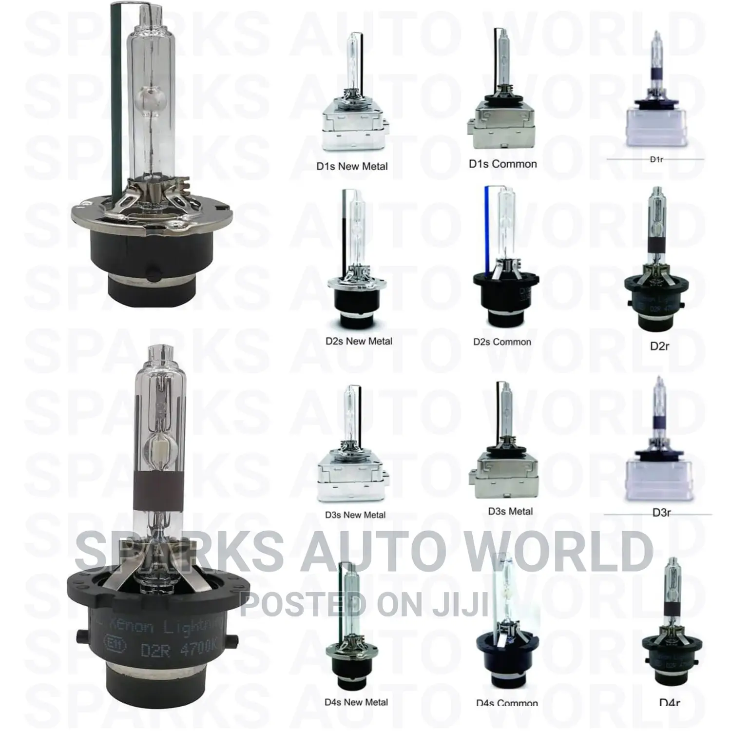 D2 Motor Bulbs