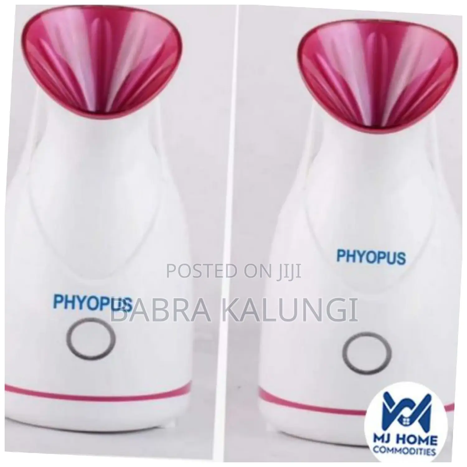 Nano Facial Steamer
