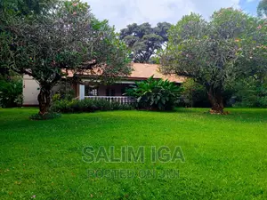 4bdrm Bungalow in Kololo Property, Central Division for rent
