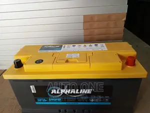 Din100 Alphaline Batteries