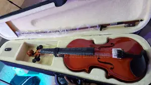 Violin 4/4 Black Violin 