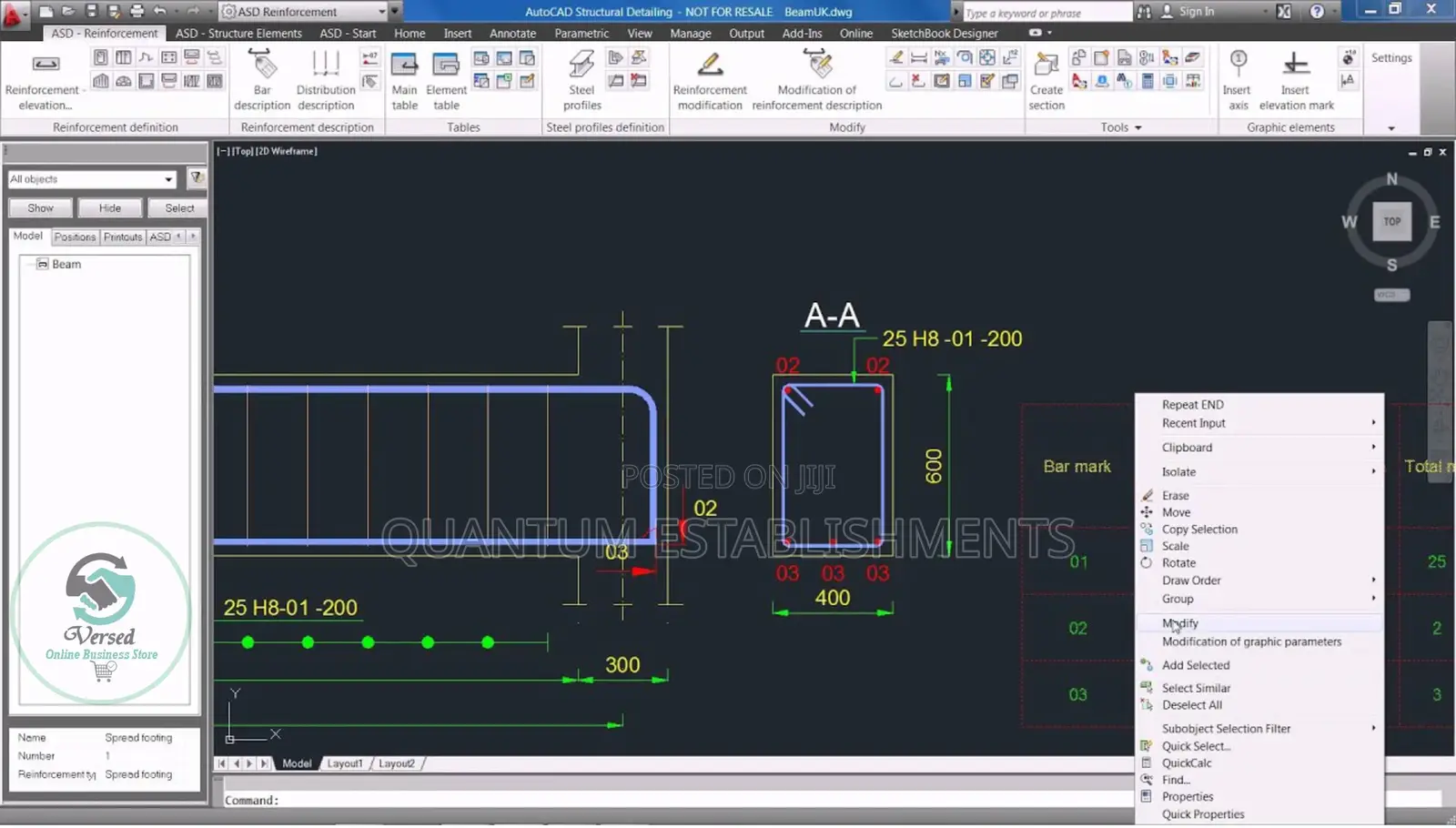 Autodesk.Structural.Detailing