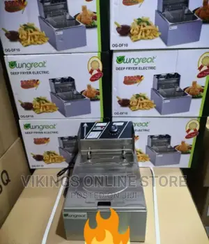 Owngreat Electric Deep Fryer