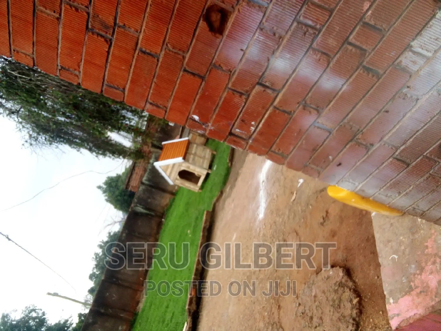 Acdo Pure Dog House