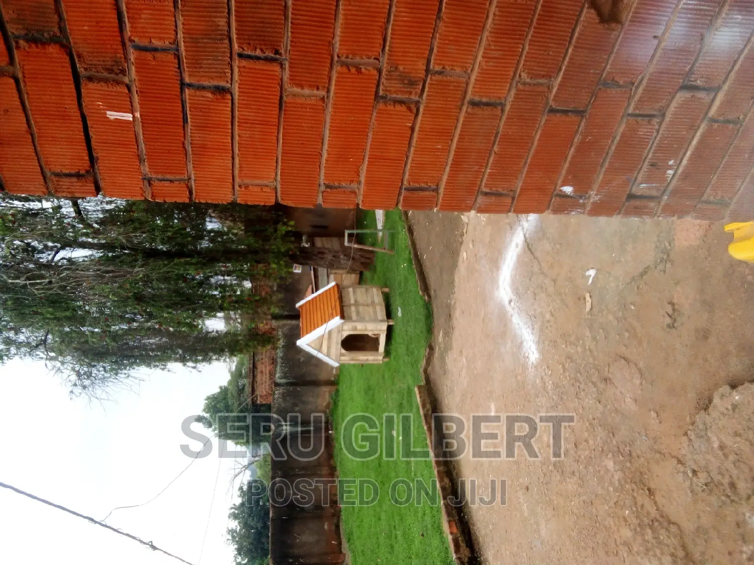 Hary Dog House