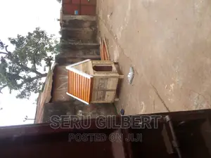 Skool Dog House