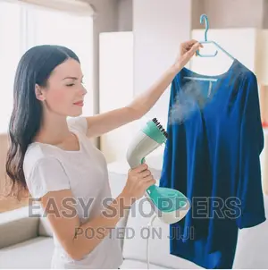 Home Steam Iron 330ml With Brush and Gauge Portable Iron