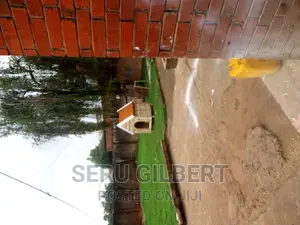 SBSN Dog House