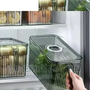 Plastic Fridge Storage Containers