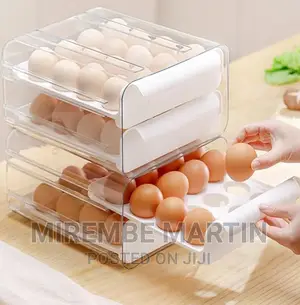 Egg Storage Box