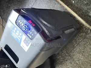 Alipu Rechargeable Speaker