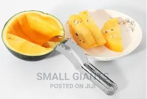 Stainless Steel Fruit and Melon Slicer