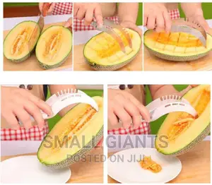 Stainless Steel Fruit and Melon Slicer