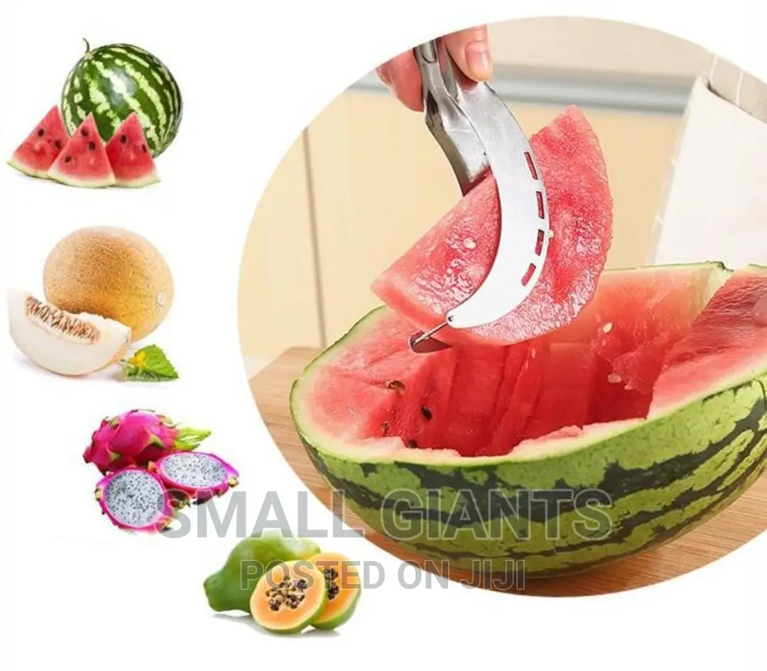 Stainless Steel Fruit and Melon Slicer