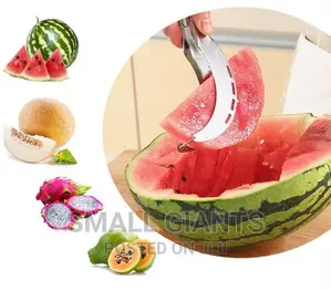 Stainless Steel Fruit and Melon Slicer