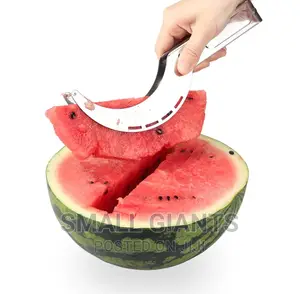 Stainless Steel Fruit and Melon Slicer