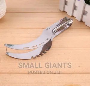 Stainless Steel Fruit and Melon Slicer