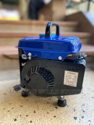 800w Portable Generator
