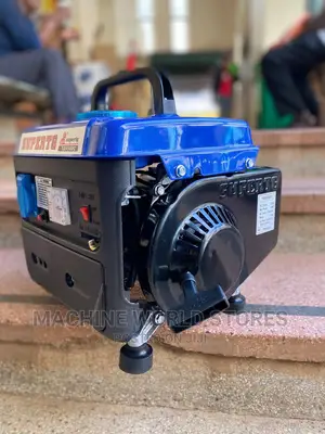 800w Portable Generator