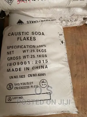 Caustic Flakes China