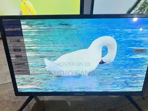 Globalstar Japan Technology 24” Digital Tv