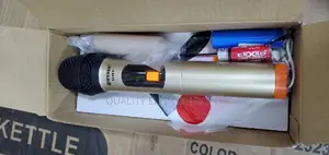 WVNGR Powerful Wireless Microphone