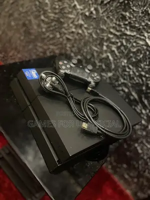PS4 Standard Console #100