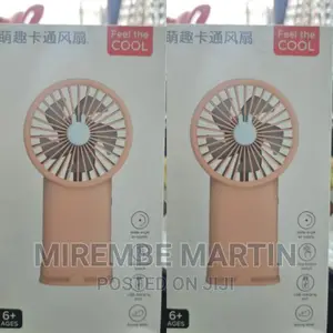 Portable Cooler Fan