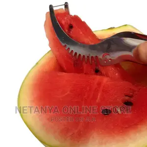 Stainless Steel Watermelon Cutter