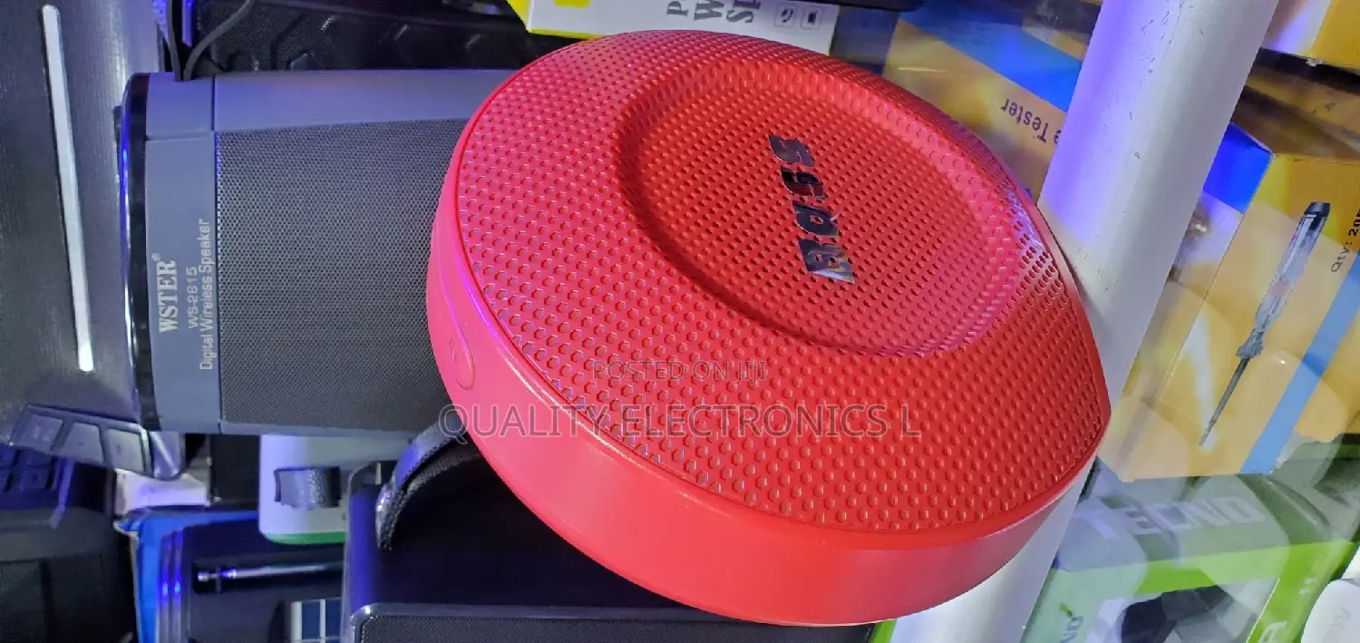 Powerful Portable Speaker