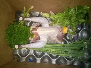 Dressed Guinea Fowl