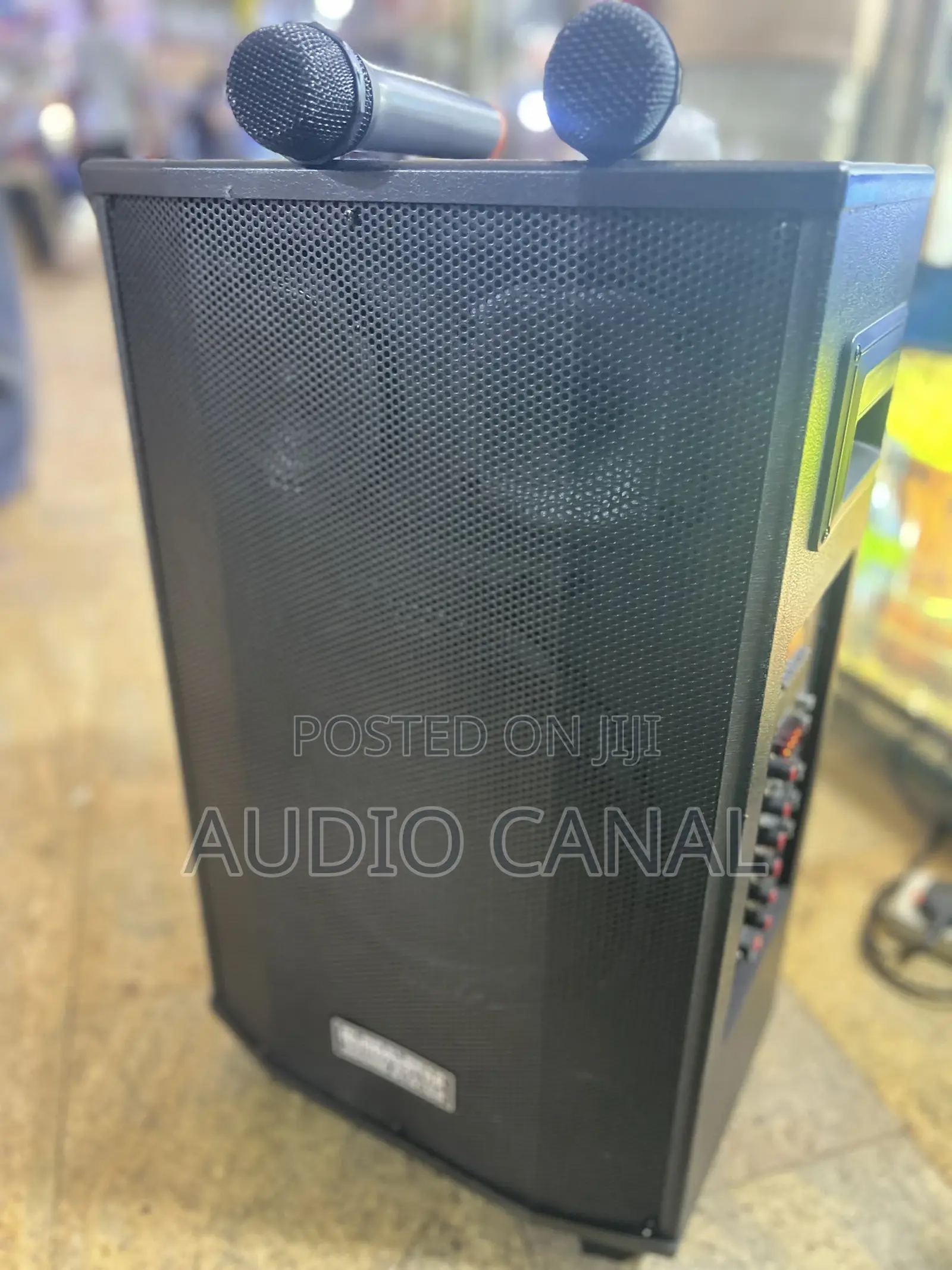 1203 Globalstar Rechargeable 12” Speaker