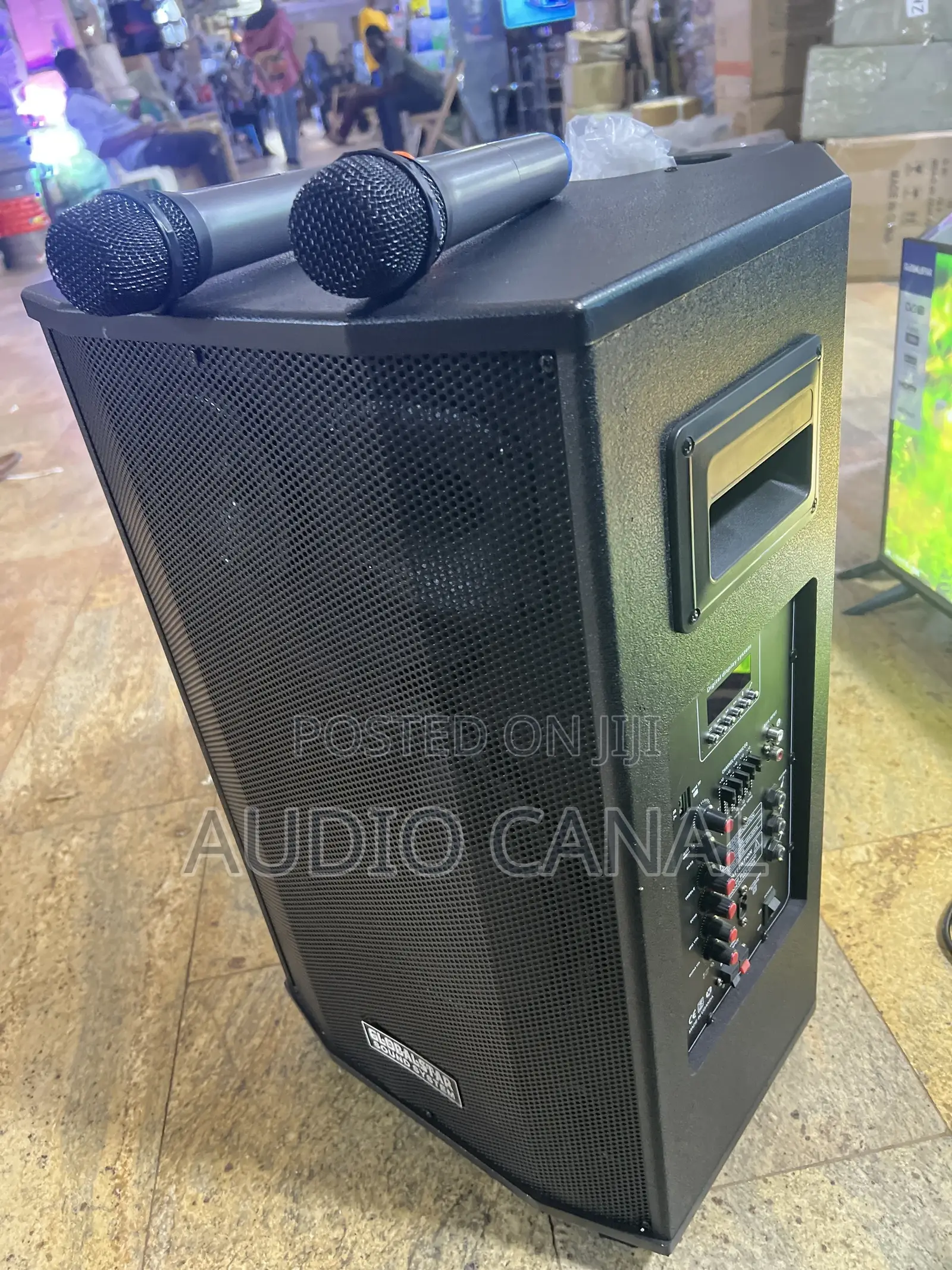1203 Globalstar Rechargeable 12” Speaker