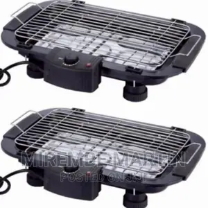 Electric Grill