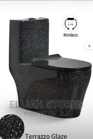 Toilet Seat and Accessories