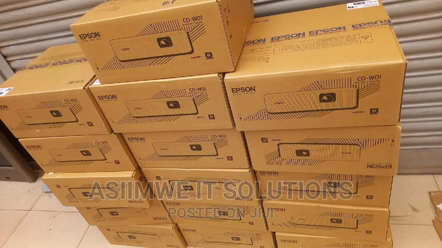 Epson Projector Co-W01